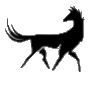 horse horse